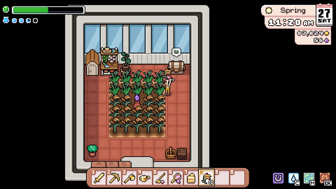 Greenhouse Interior