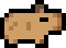 Light Brown pup