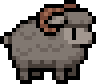 Black ram
