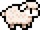 White lamb