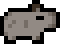 Gray pup