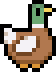 Mallard