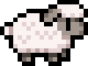 Black Nosed lamb
