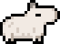 White adult