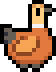 Ruddy Shelduck