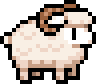 White ram