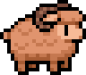 Brown ram