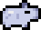 Silver pup