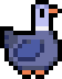 Mandarin