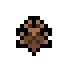 Waterbug.png