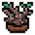 Faux thorn vine.png