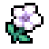 Temple flower.png