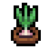 Faux garlic.png