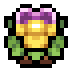 Faux viola.png