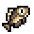 Crucian carp.png