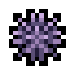 Sea urchin.png