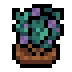 Faux rosemary.png