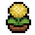 Faux dandelion.png