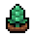 Faux sea grapes.png