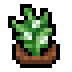 Faux sesame.png