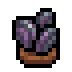 Faux mines mussels.png