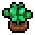 Faux basil.png