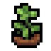 Faux oregano.png