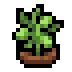 Faux chickpea.png
