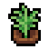 Faux dill.png