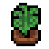 Faux fiddlehead.png