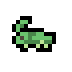 Singing katydid.png