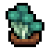 Faux earthshroom.png