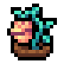 Faux magic seed.png