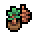 Pine sapling.png