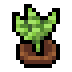 Faux horseradish.png