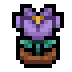 Faux crocus.png